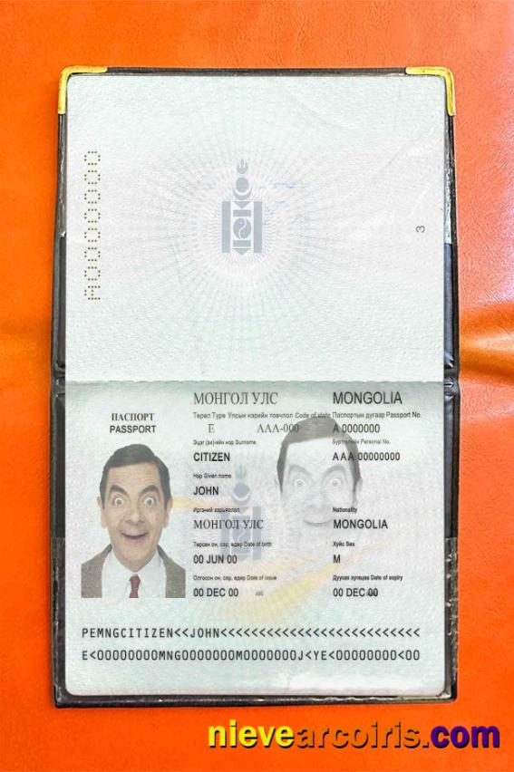 Mongolia passport photolook